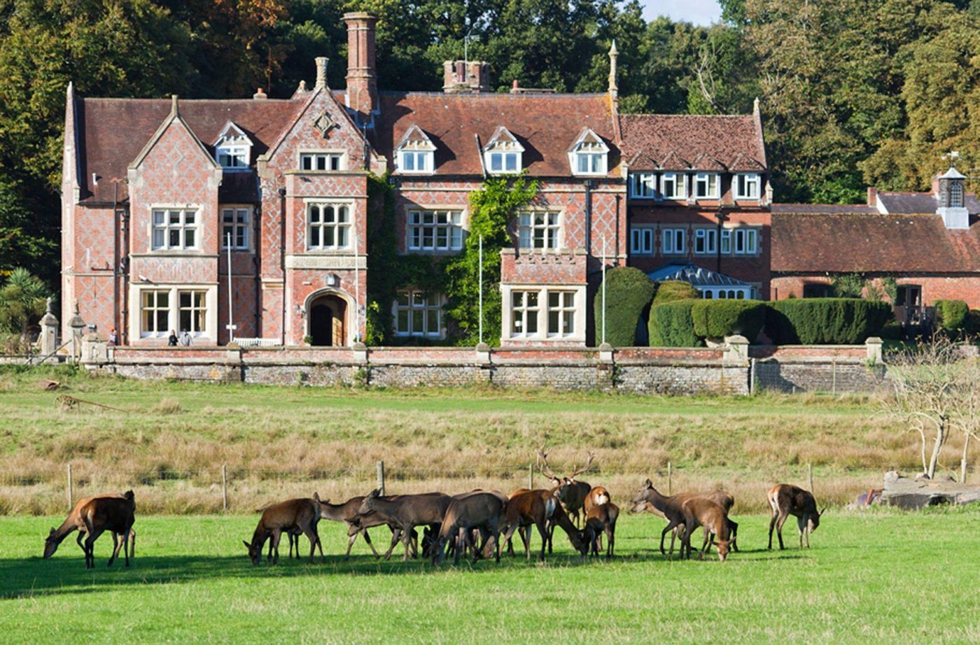 NICHOLLS BELL WEDDING